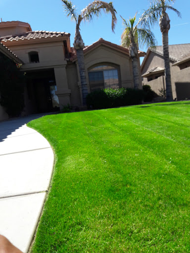 Golf Course «Oakwood Golf Course», reviews and photos, 9649 E Ej Robson Blvd, Sun Lakes, AZ 85248, USA