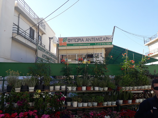 Καταστήματα για να αγοράσετε φυτά εξωτερικού χώρου Αθήνα