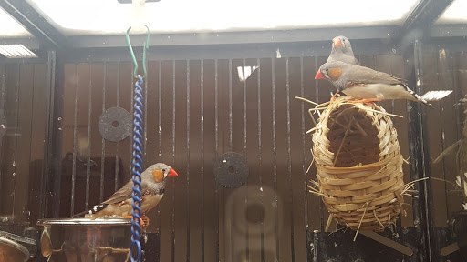 Pet Supply Store «PetSmart», reviews and photos, 1300 John F Kennedy Rd, Dubuque, IA 52002, USA