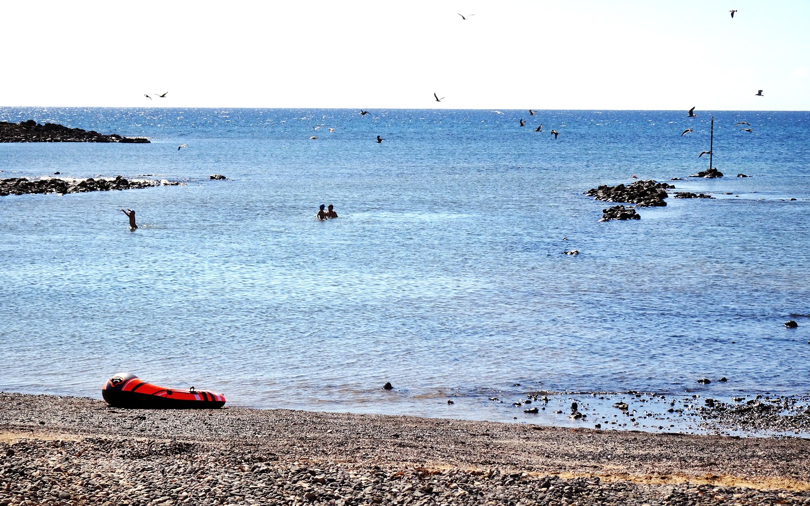 Foto av Playa del Muellito med grönt vatten yta