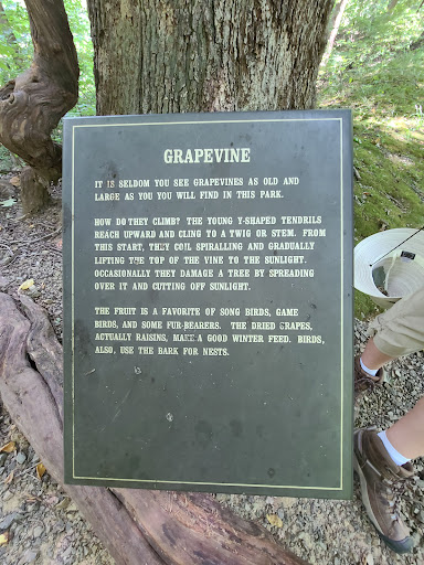 Museum «Audubon Museum & Nature Center», reviews and photos, 3100 US-41, Henderson, KY 42420, USA