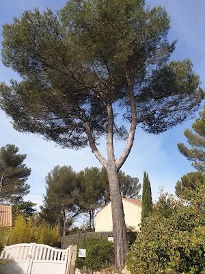 Sannier David Espaces Verts à Cabriès