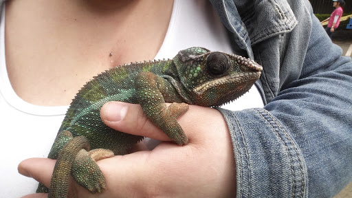 Zoo «Jozee Rooz Indoor Petting Zoo», reviews and photos, 120 138th St S, Tacoma, WA 98444, USA