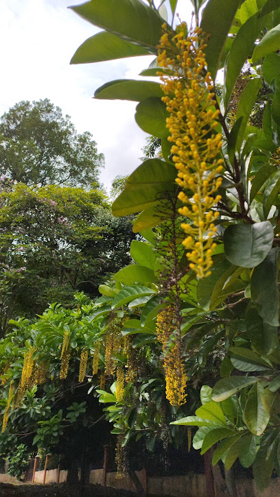 Taman Seribu Bunga ( Thousand Flower Garden/ஆயிரம் மலர் தோட்டம்))