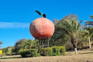 Orange MONUMENT. image