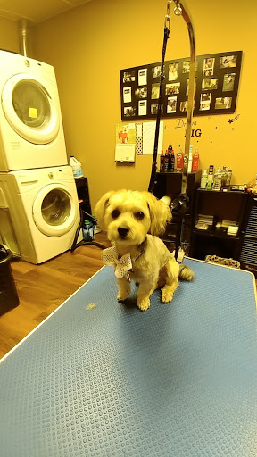 Pet Store «Pet Valu», reviews and photos, 2645 Shillington Rd, Sinking Spring, PA 19608, USA