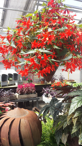 Florist «Vanlierop Garden Market Ltd», reviews and photos, 1020 Ryan Ave, Sumner, WA 98390, USA