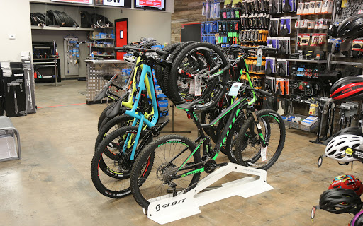 Bicycle Store «Bicycle World of West U», reviews and photos, 2519 Rice Boulevard, Houston, TX 77005, USA