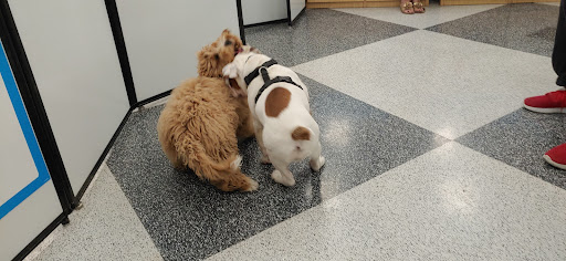 Pet Supply Store «Petco Animal Supplies», reviews and photos, 7110 Dodge St, Omaha, NE 68132, USA