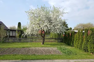 Rodzinny ogród dzìałkowy Uroczysko image