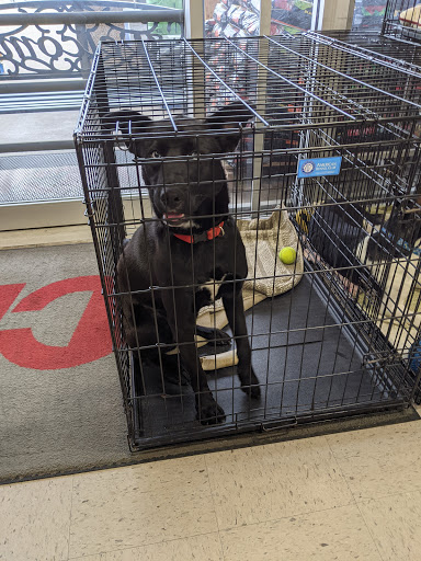 Hardware Store «Hardware City», reviews and photos, 14455 Memorial Dr, Houston, TX 77079, USA