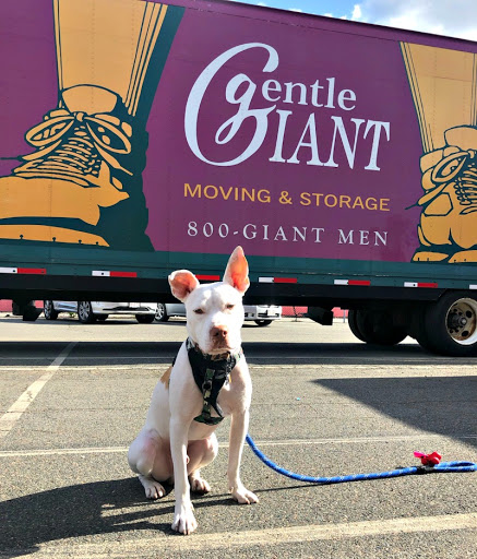 Moving and Storage Service «Gentle Giant Moving Company», reviews and photos, 29 Harding St, Somerville, MA 02143, USA