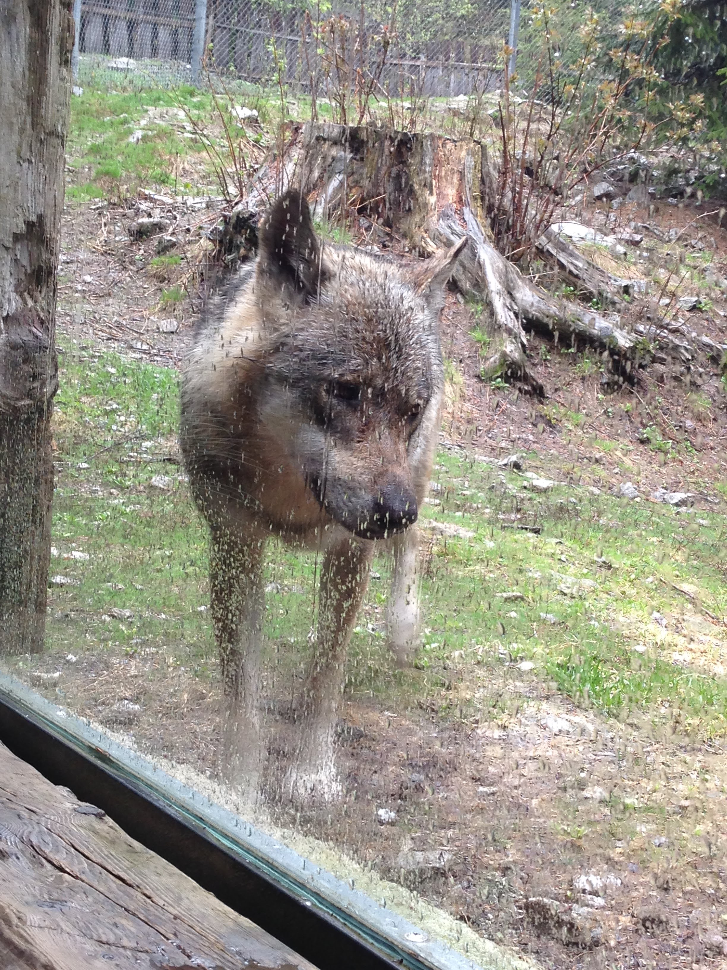Photo n° 2 de l'avis de Lucille.a fait le 06/08/2018 à 22:01
