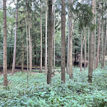 Photo n°2 de l'avis de kathrin.u fait le 14/09/2021 à 13:46 sur le  Barfußpark Lüneburger Heide in Egestorf à Egestorf