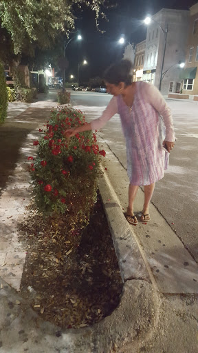 Supermarket «Publix Super Market at Winthrop Town Center», reviews and photos, 11109 Winthrop Market St, Riverview, FL 33578, USA