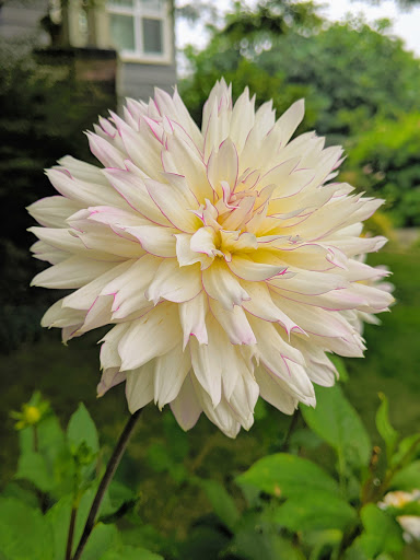 Park «Kirke Park», reviews and photos, 7028 9th Ave NW, Seattle, WA 98117, USA