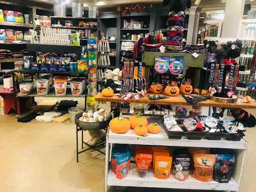 Pet Supply Store «Dog Dish», reviews and photos, 1778 Utica Square, Tulsa, OK 74114, USA