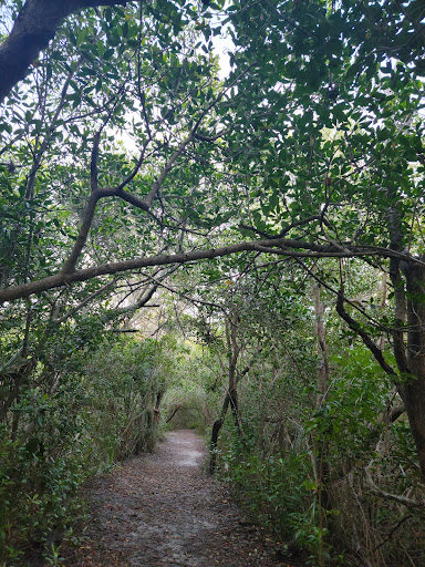 Boyscout hiking trail