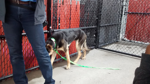 Animal Shelter «Oregon Humane Society», reviews and photos