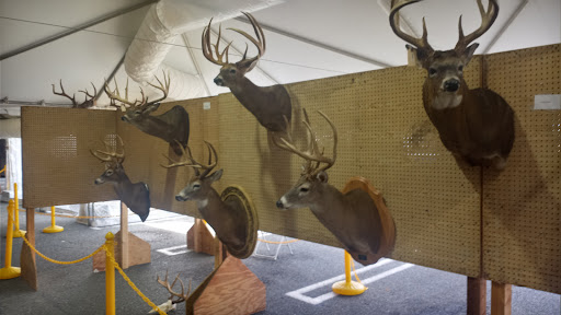 Fishing Store «Green Top Sporting Goods, Corporation.», reviews and photos, 10150 Lakeridge Pkwy, Ashland, VA 23005, USA