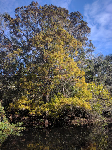 Cafe «Hillsborough State Park Poolside Cafe», reviews and photos, 15402 U.S. 301, Thonotosassa, FL 33592, USA