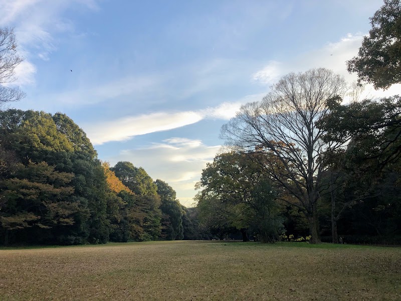 宝物殿前芝地