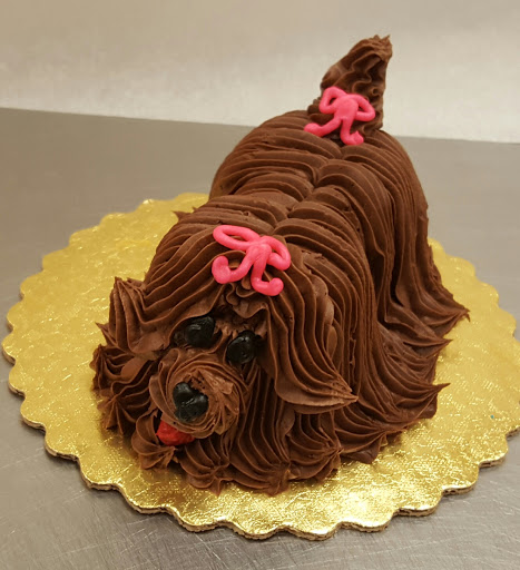 Grocery Store «Winn-Dixie», reviews and photos, 1010 S Ponce De Leon Blvd, St Augustine, FL 32084, USA