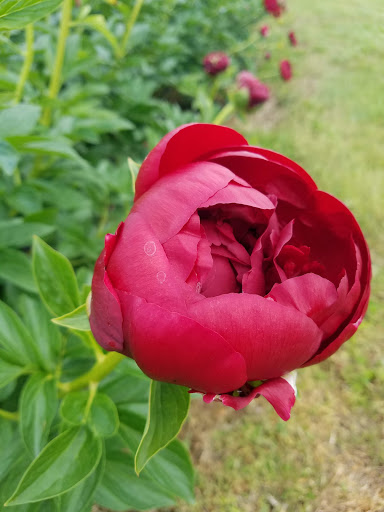 Nature Preserve «Teetertown Ravine Nature Preserve», reviews and photos, 30 Pleasant Grove Rd, Port Murray, NJ 07865, USA