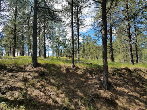 Hotel «Best Western Golden Spike Inn & Suites», reviews and photos