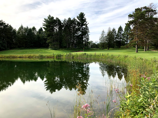 Golf Course «Pinecroft Golf Course», reviews and photos, 8260 Henry Rd, Benzonia, MI 49616, USA