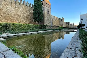 Muralla y foso de Puerta de Almodóvar image