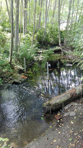 Park «Jackson Park Golf Course», reviews and photos, 1000 NE 135th St, Seattle, WA 98125, USA