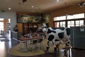 Malanda Dairy Centre image