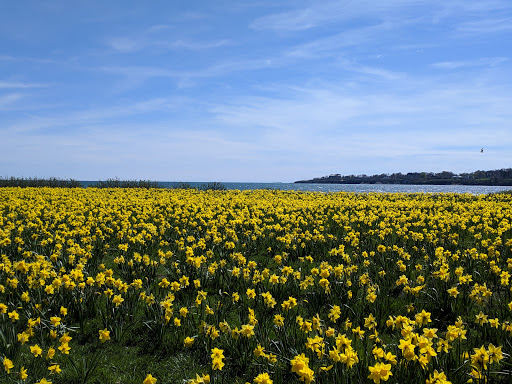 Wedding Venue «Newport Beach House: A Longwood Venue», reviews and photos, 55 Purgatory Rd, Middletown, RI 02842, USA