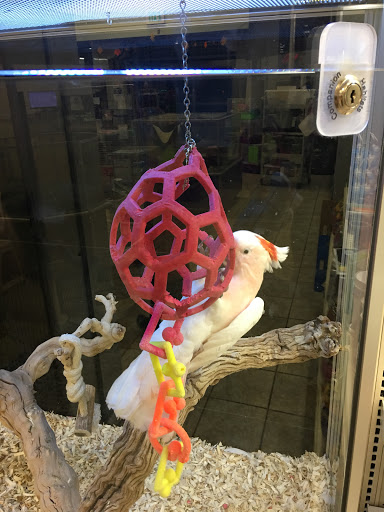 Pet Store «Pet City Pet Shops», reviews and photos, 750 Citadel Dr N # 2092, Colorado Springs, CO 80909, USA