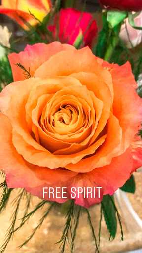 Florist «Classic Florist & Home Decor LLC», reviews and photos, 913 Hillcrest Pkwy, Dublin, GA 31021, USA