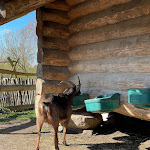 Photo n°8 de l'avis de Oliver.� fait le 16/04/2022 à 21:26 sur le  Spargelhof Kremmen à Kremmen