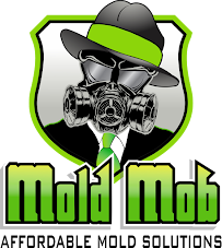 Mold Mob - Photo 4 - Car repair in Broken Arrow, OK, Broken Arrow