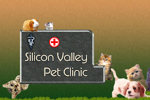 Silicon Valley Pet Clinic