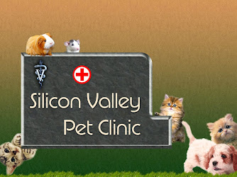 Silicon Valley Pet Clinic