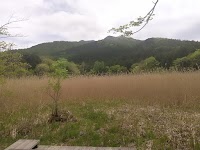 ヨシ沼園地