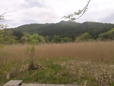 ヨシ沼園地