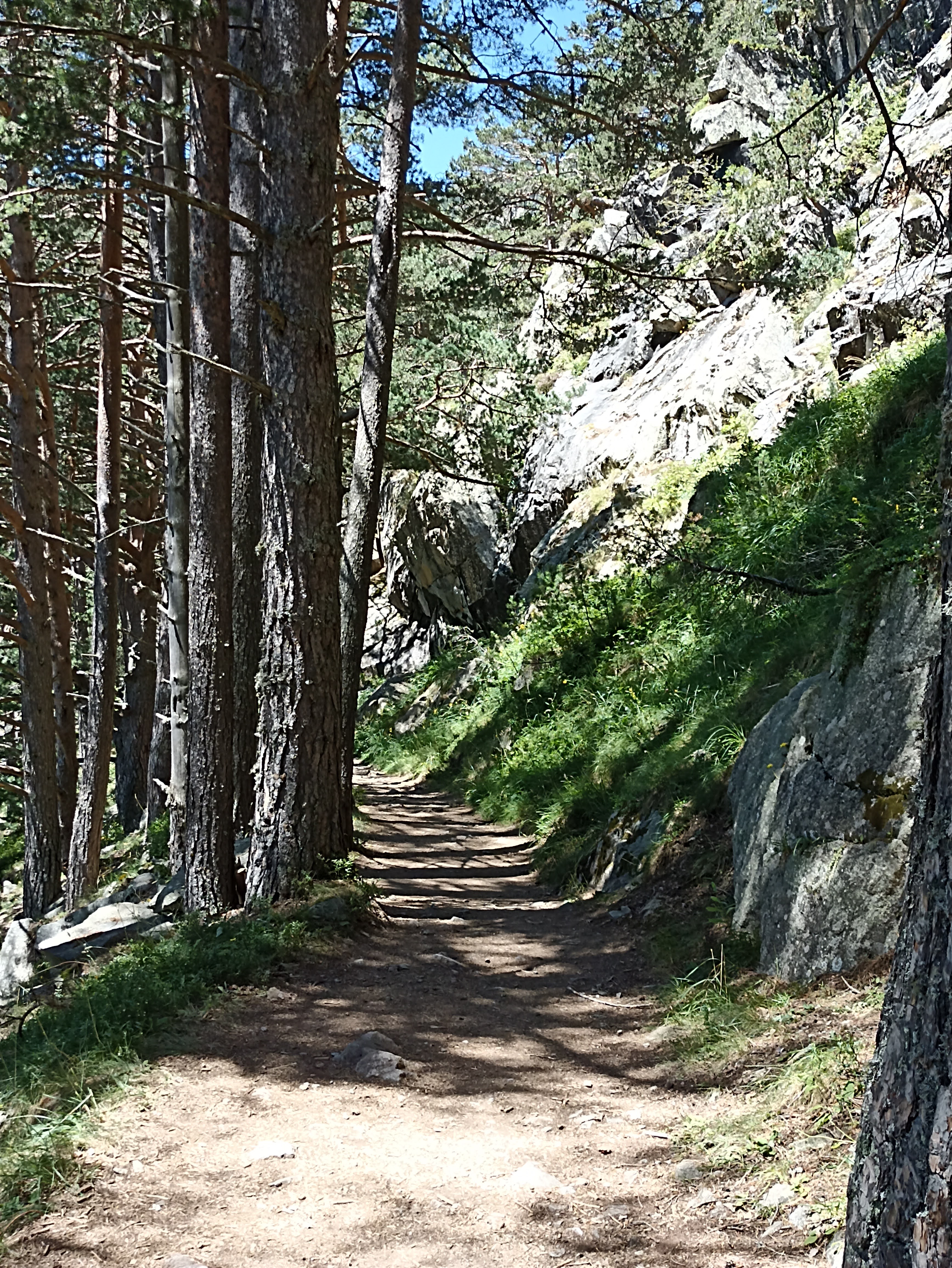 Photo n° 4 de l'avis de FIS.� fait le 15/08/2023 à 14:11