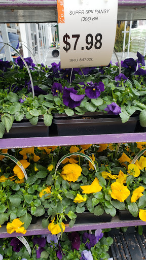 Home Improvement Store «The Home Depot», reviews and photos, 200 Alan Wood Rd, Conshohocken, PA 19428, USA