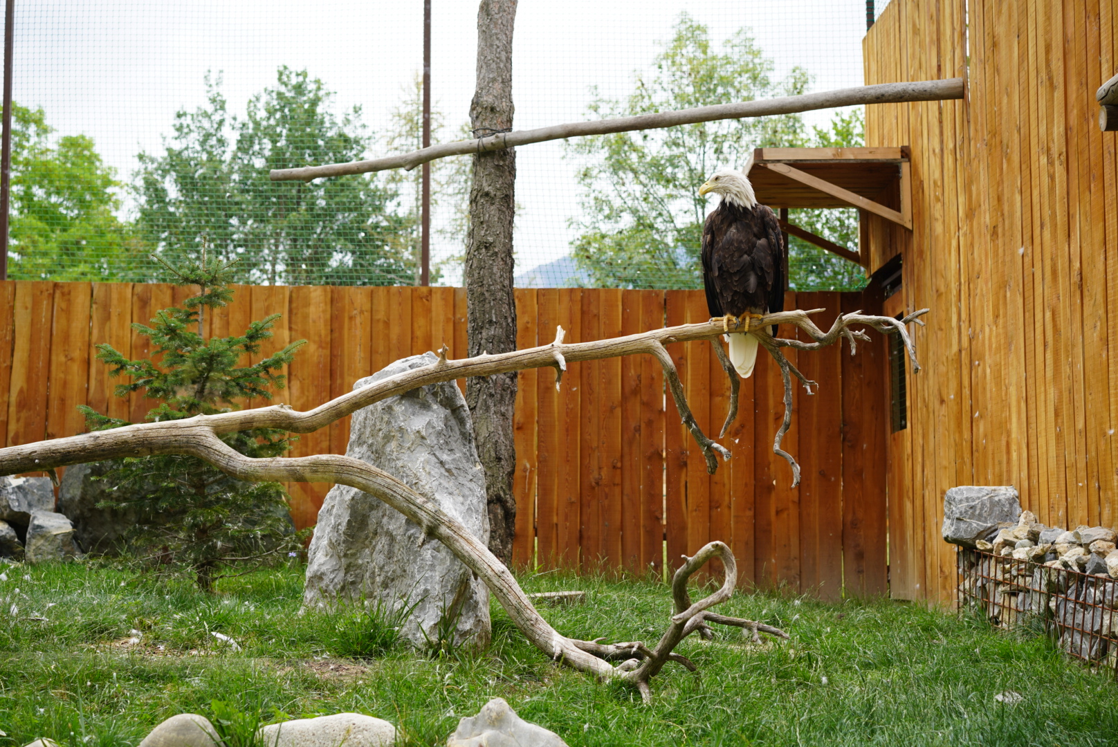 Photo n° 8 de l'avis de Brice.n fait le 18/08/2023 à 07:39