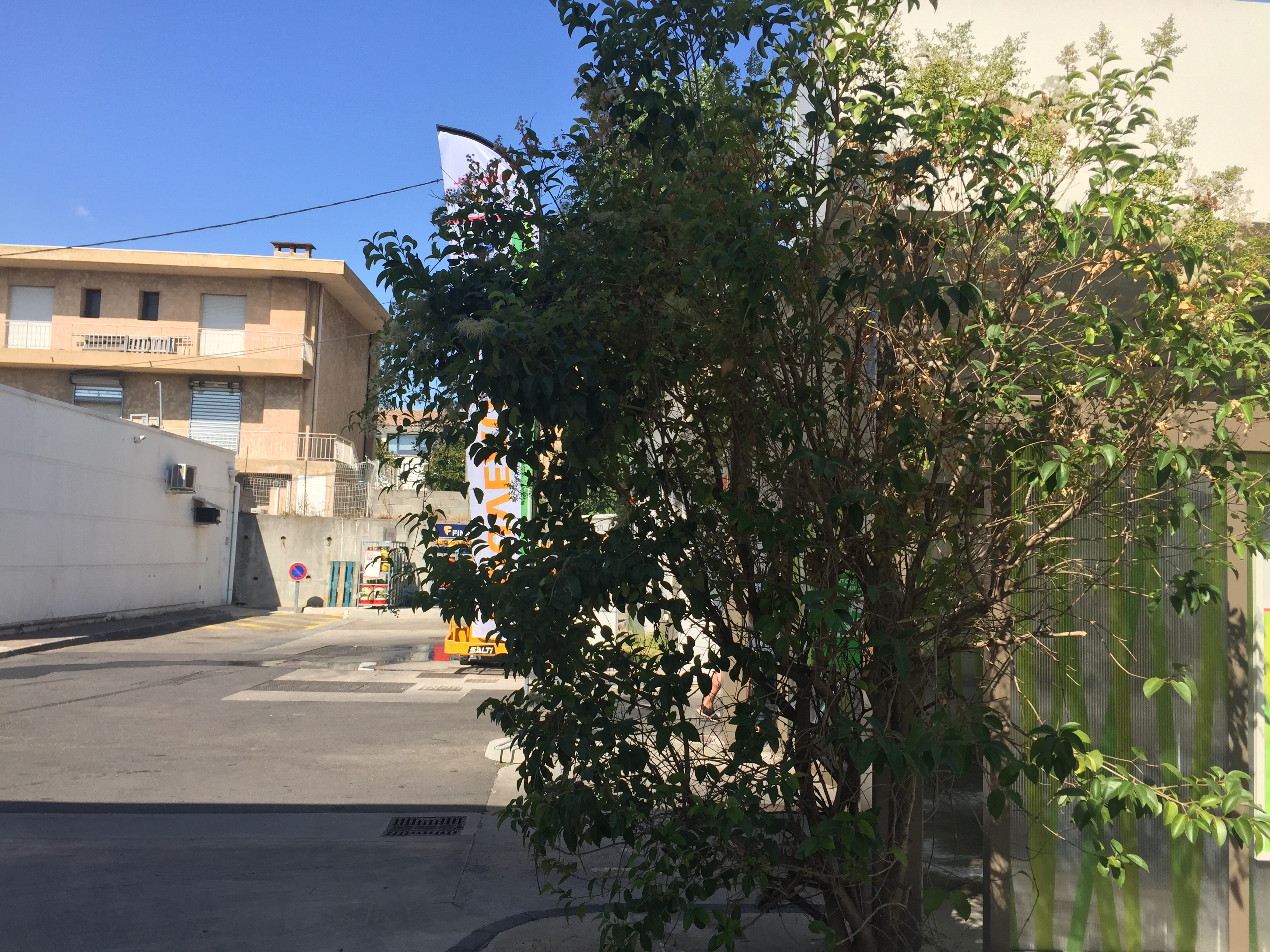 Photo n° 4 de l'avis de Woosuk. fait le 19/08/2019 à 08:48