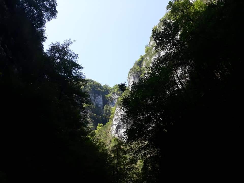 Photo n° 13 de l'avis de Cindy.e fait le 02/09/2018 à 12:00