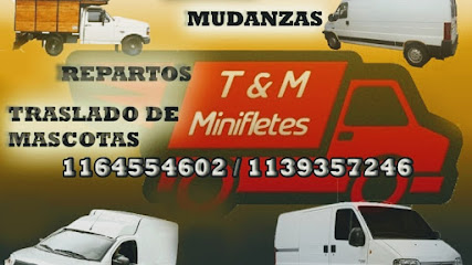 Minifletes T y M Villa Del Parque Fletes