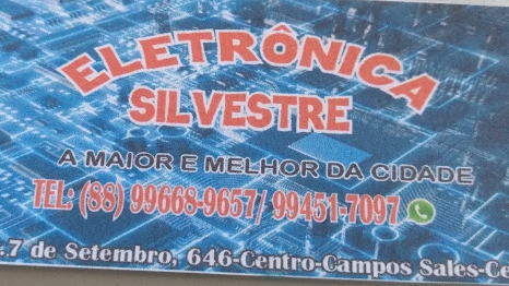 Eletrônica Silvestre