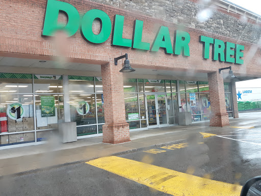 Dollar Store «Dollar Tree», reviews and photos, 8653 Columbus Pike, Lewis Center, OH 43035, USA